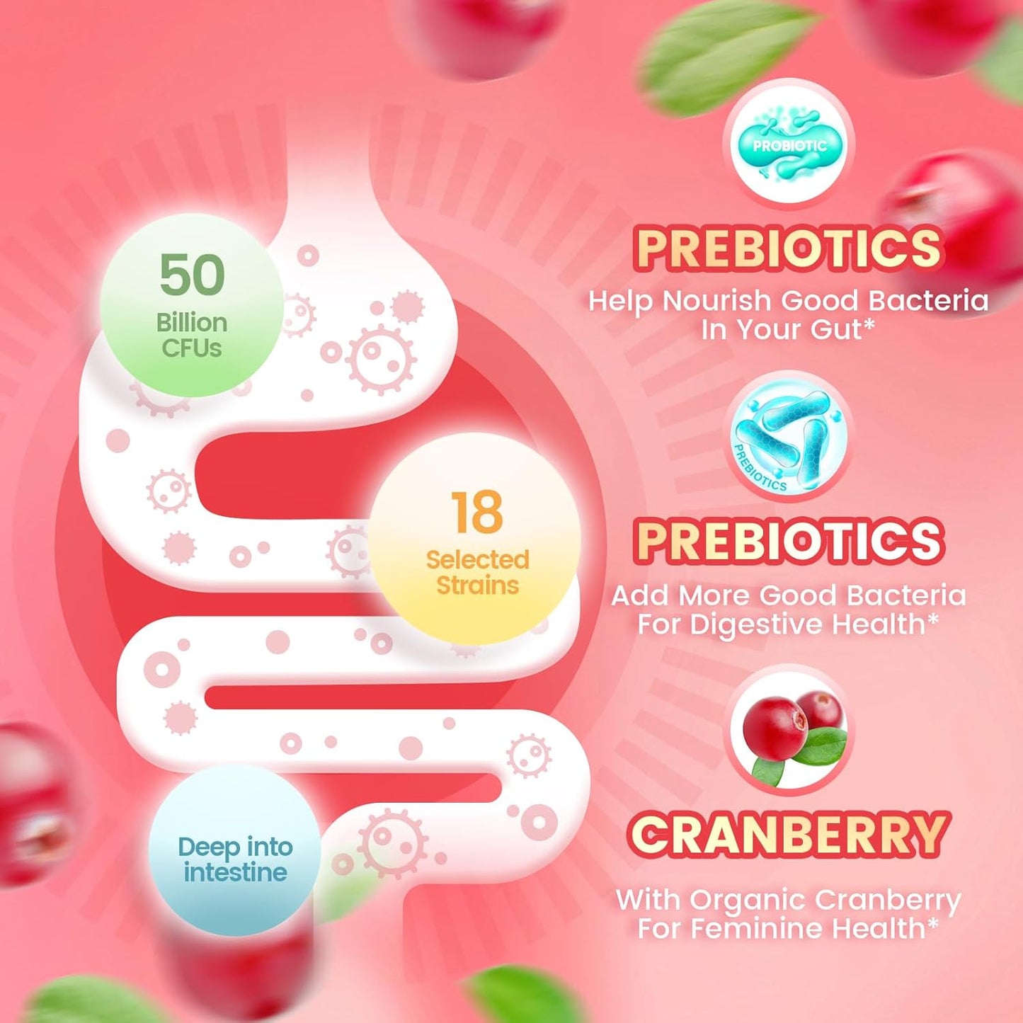 Final 3 Hours:🔥Daily Balance Gummies for Women – With Cranberry & Vitamin C for Gut & Immune Support